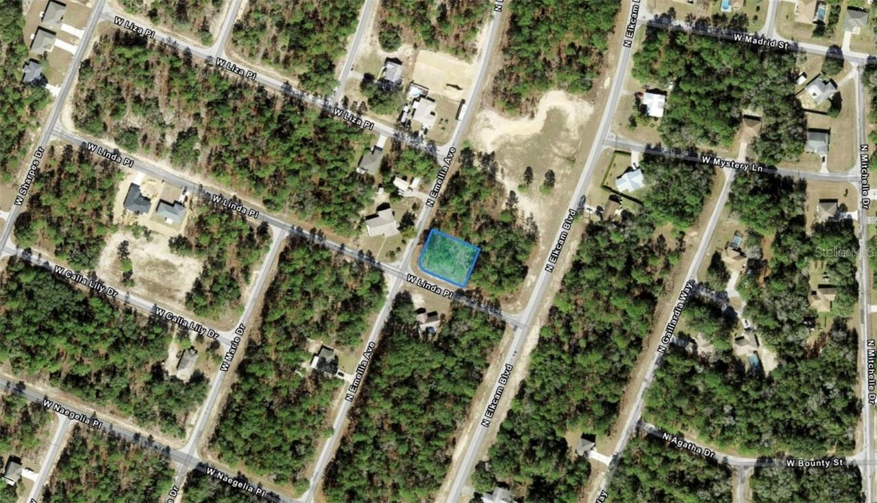 9735 N Emellia Ave., Citrus Springs, FL 34434