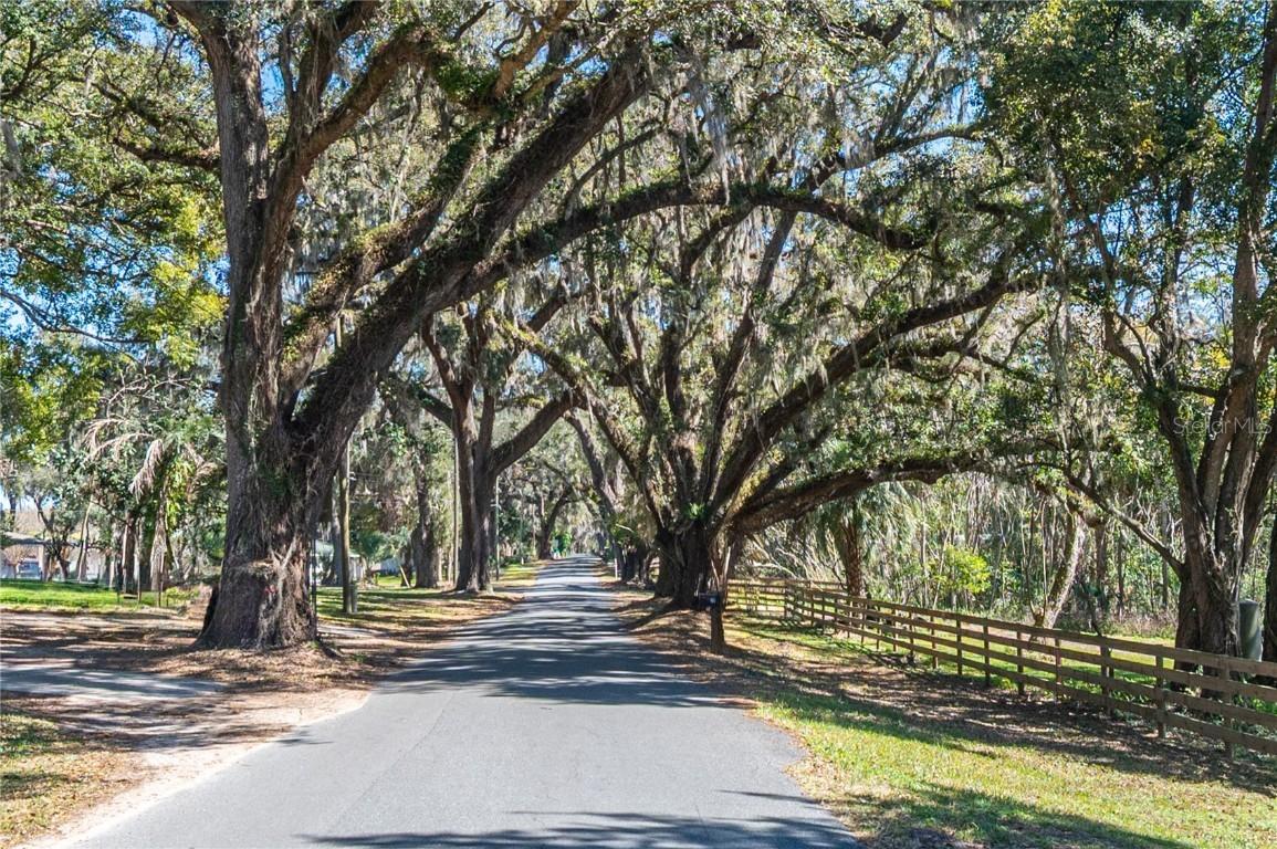 128 Mockingbird Ln., Lady Lake, FL 32159