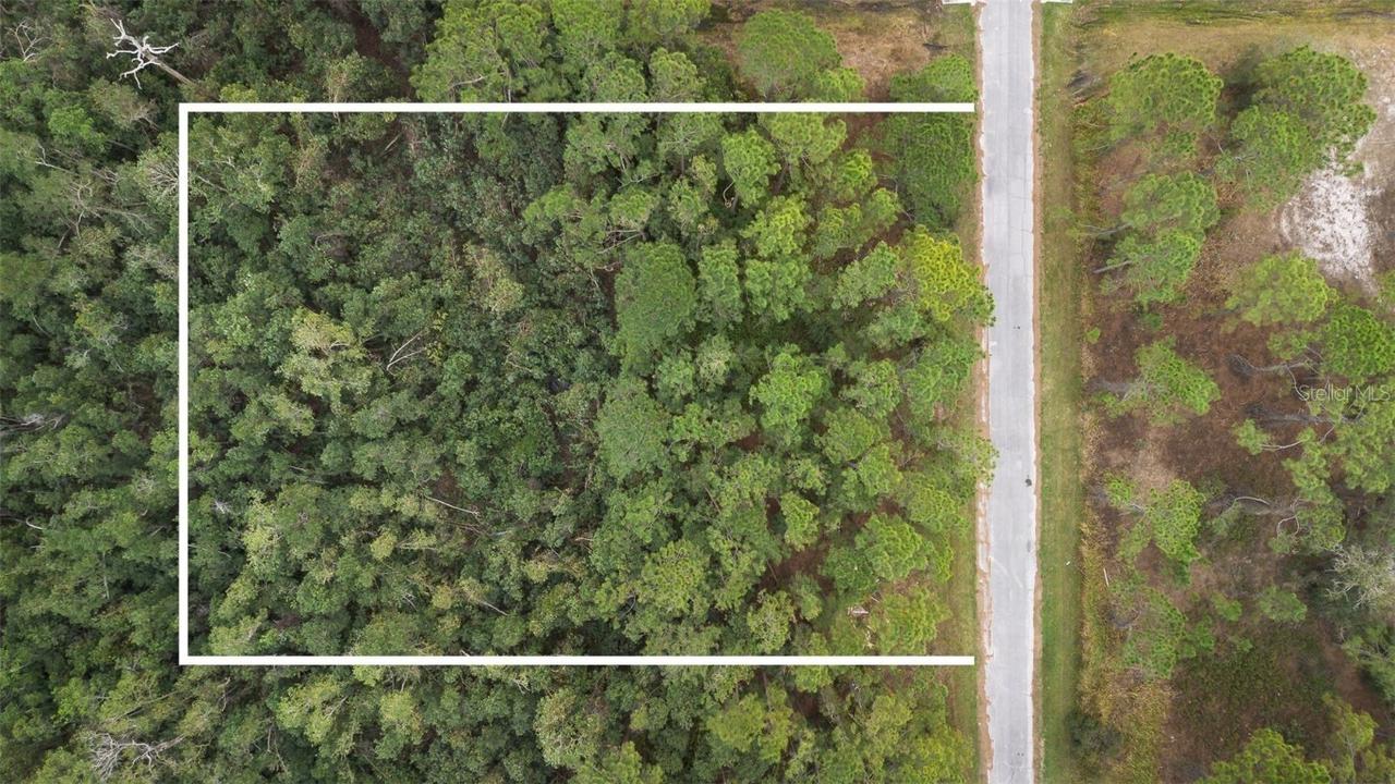 1550 Marlin Dr., Kissimmee, FL 34759