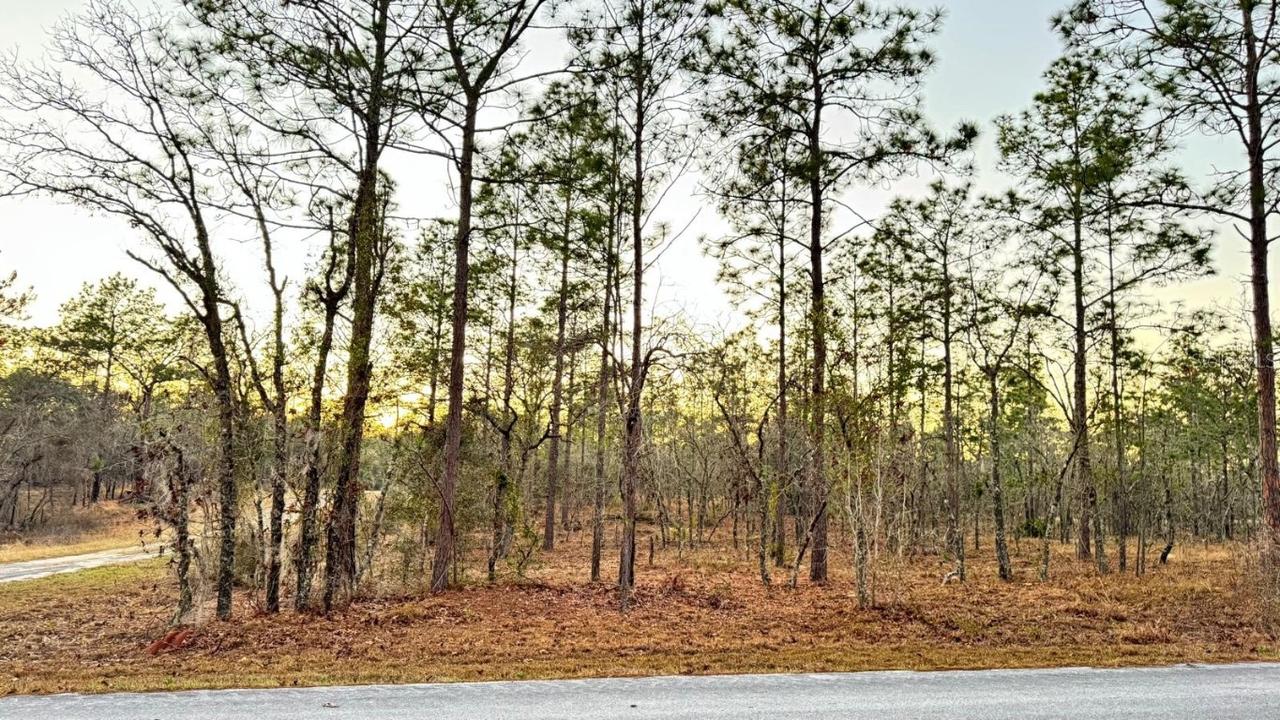 00 SE 130th Ct., Dunnellon, FL 34431