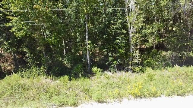 Ne 110th Ct., Williston, FL 32696