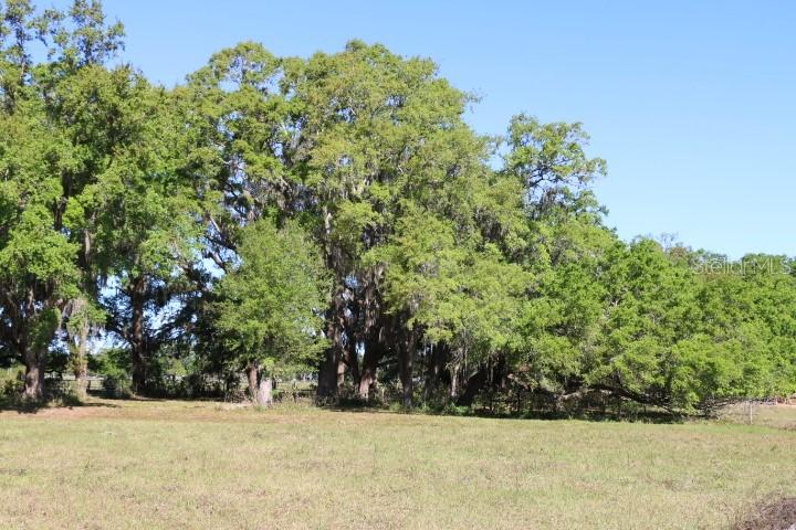 Cr 48, Bushnell, FL 33513