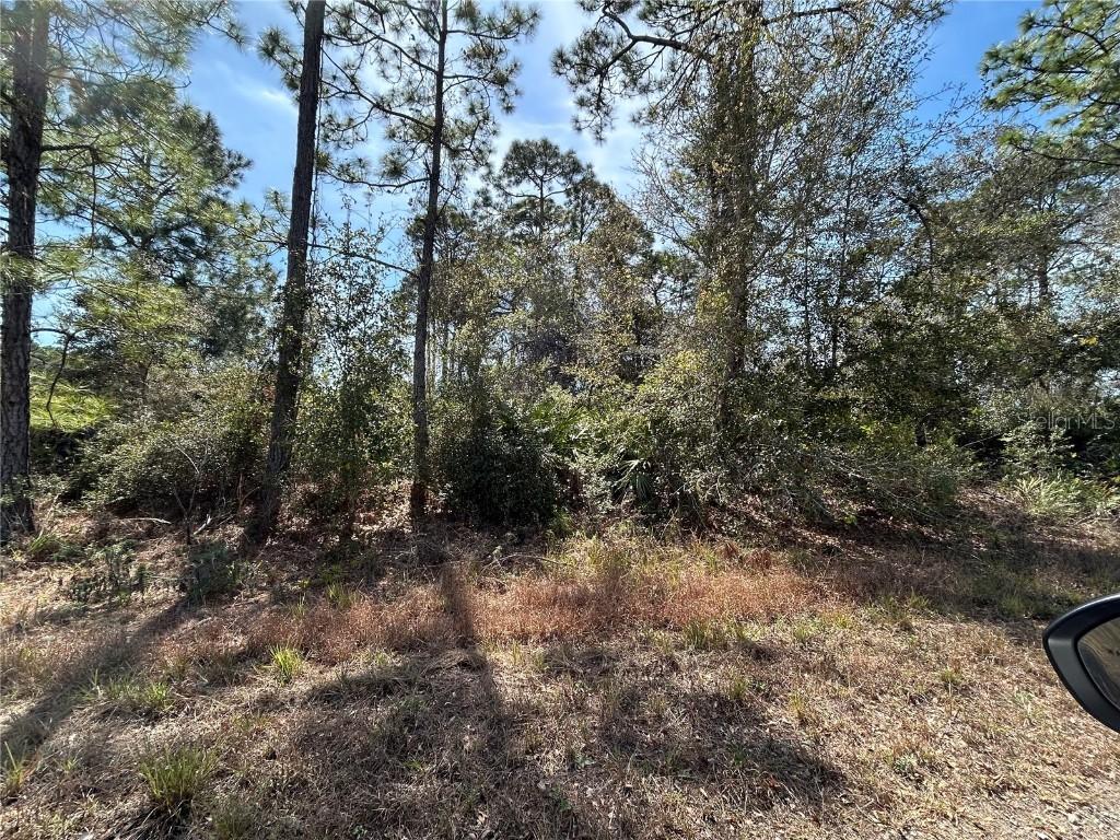 3420 Western Tanager St. #LT9, Lake Placid, FL 33852