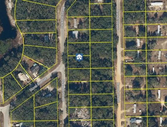 TBD Dickens St., Interlachen, FL 32148
