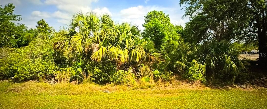 27178 Jordan Ave., Punta Gorda, FL 33983
