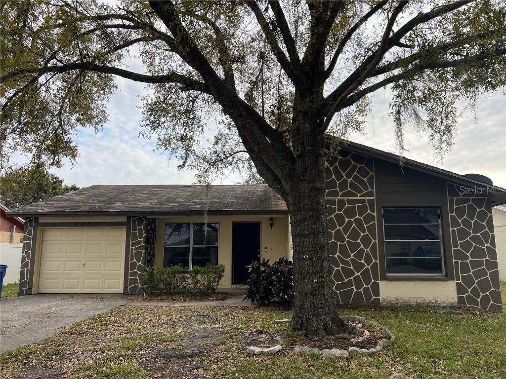 10116 Hunters Point Ct., Tampa, FL 33615