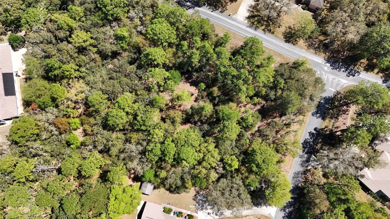 769 E Foresthill Pl., Hernando, FL 34442