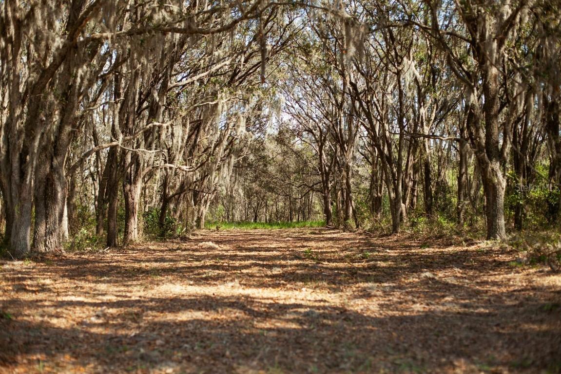 8000 Pine Island Rd., Clermont, FL 34711