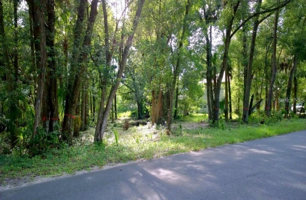 31339 Westward Ho Ave., Sorrento, FL 32776