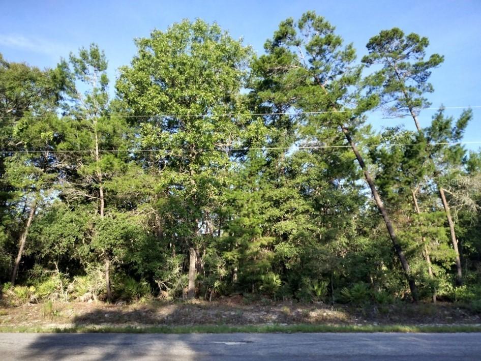 TBD SW Sequoia Trail Way, Ocklawaha, FL 32179