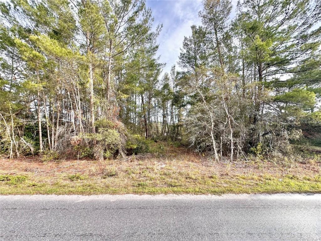 Azalea Ave., Paisley, FL 32767