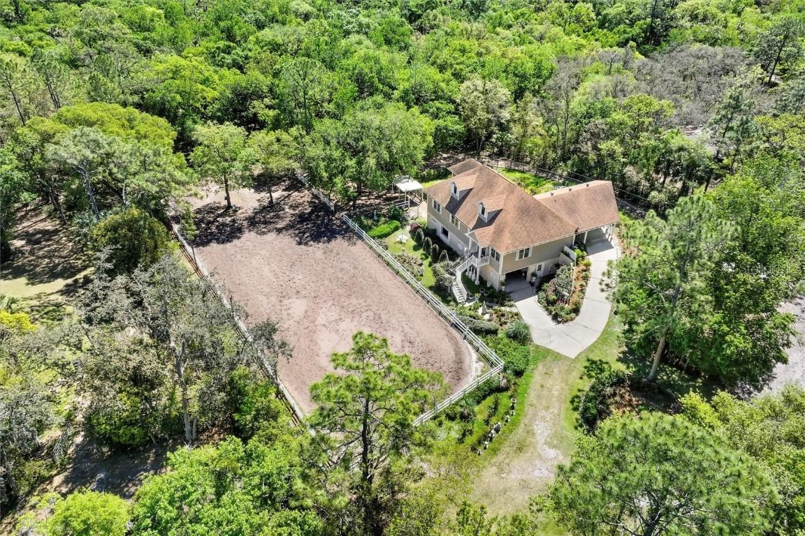 3149 Scrub Oak Tr., Oviedo, FL 32765