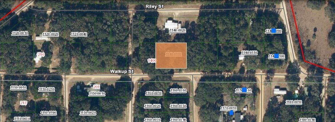 116 Walkup St., Interlachen, FL 32148