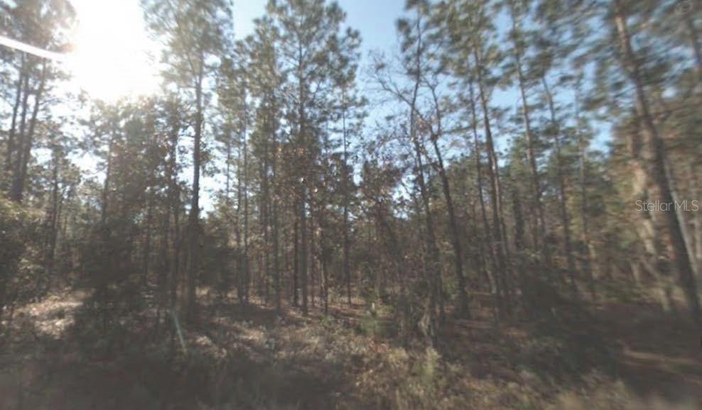 SW 159th Ter., Ocala, FL 34481
