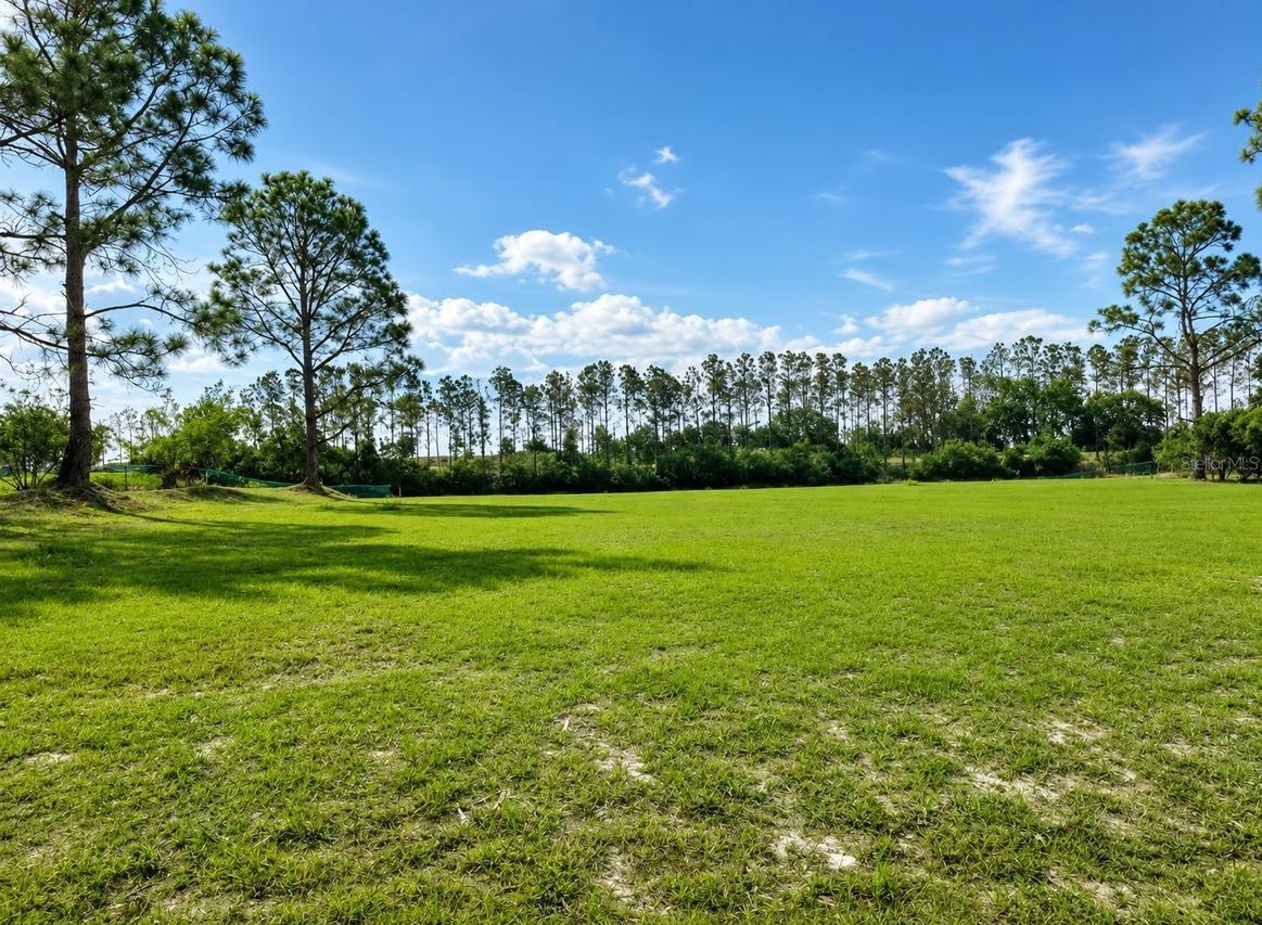 Lake Denise Blvd., Clermont, FL 34711