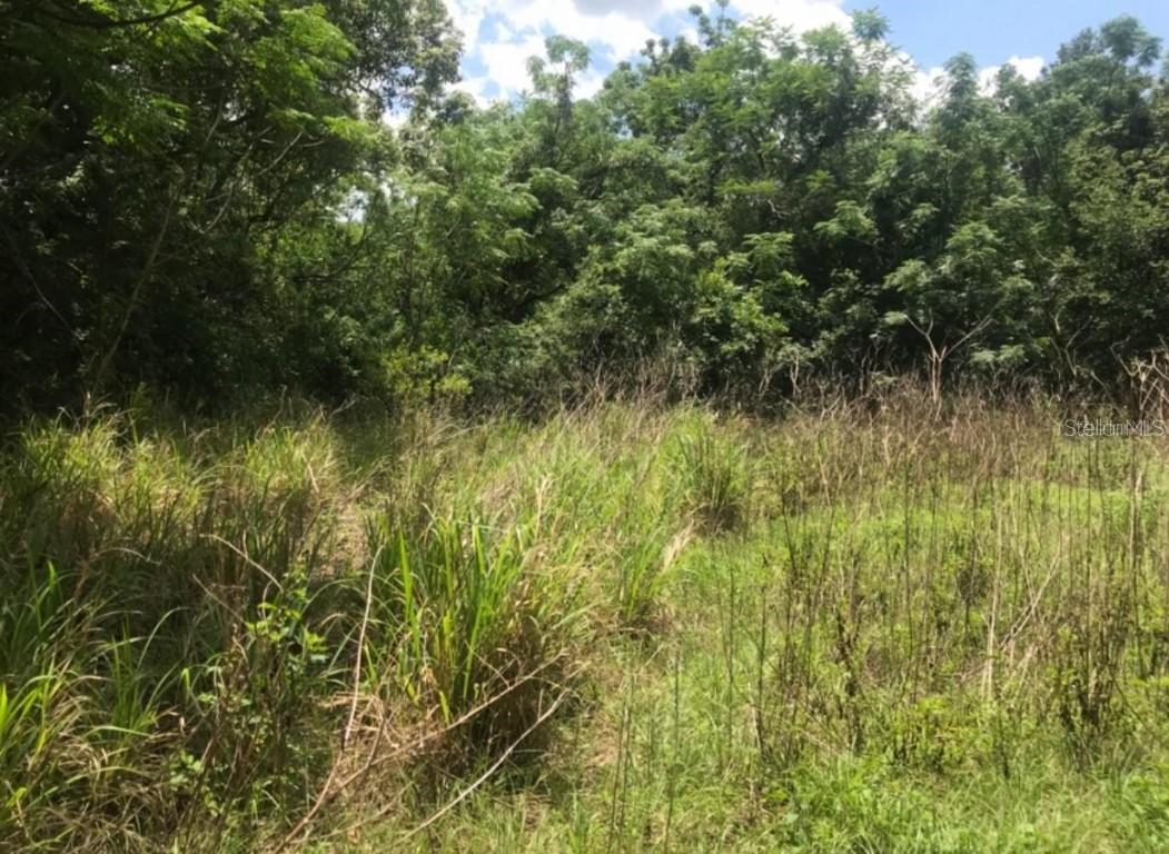 [Address Hidden by Seller], Mount Dora, FL 32757