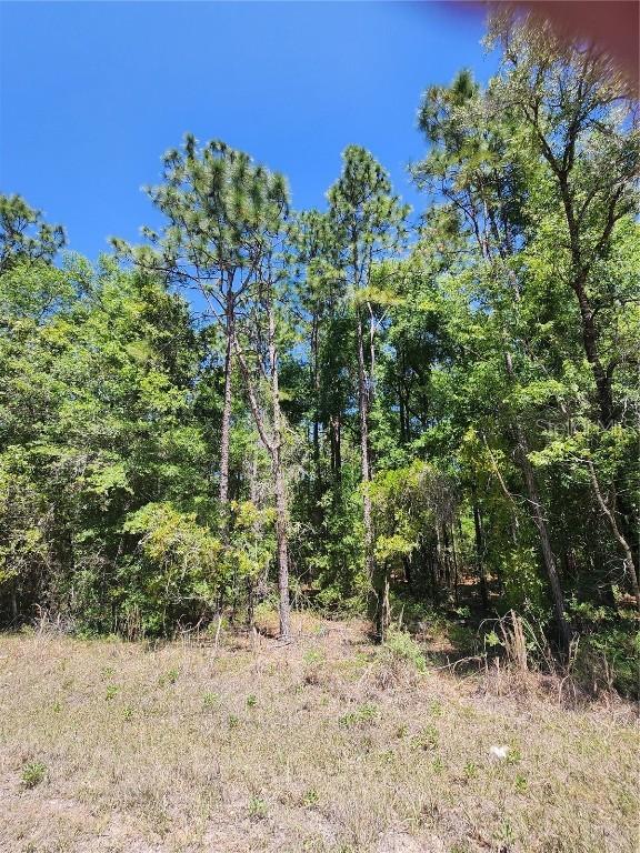 West 1/2 Of Lot 2, Block 177, Rolling Hills #5, Ocala, FL 34481