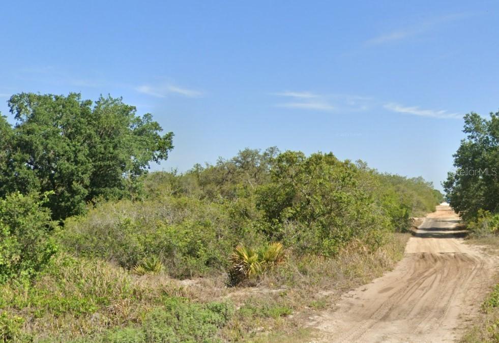 2869 W Haviland Rd., Avon Park, FL 33825