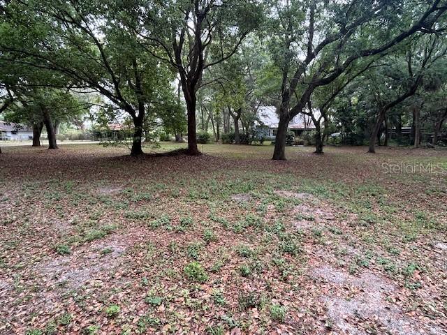 3833 Fern Gully Cove, Winter Park, FL 32792