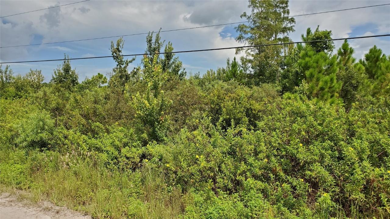 Quail Nest Ln., New Smyrna Beach, FL 32168
