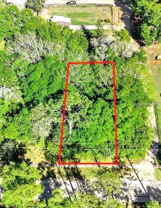 44126 Spring Creek Rd., Paisley, FL 32767