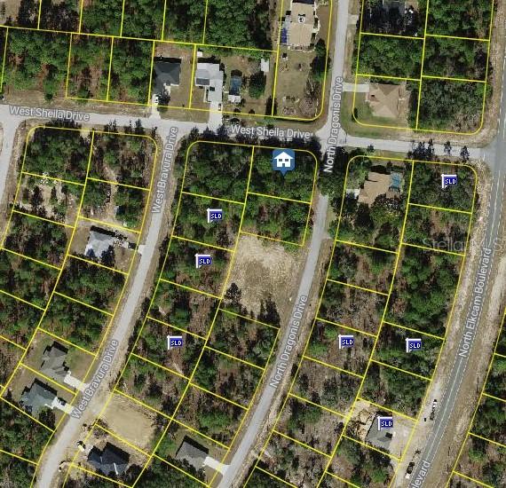 10798 N Dragonis Drives, Citrus Springs, FL 34433