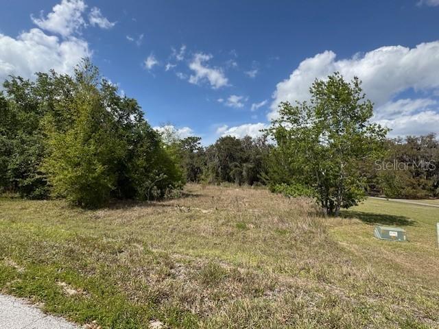 [Address Hidden by Seller], Altoona, FL 32702