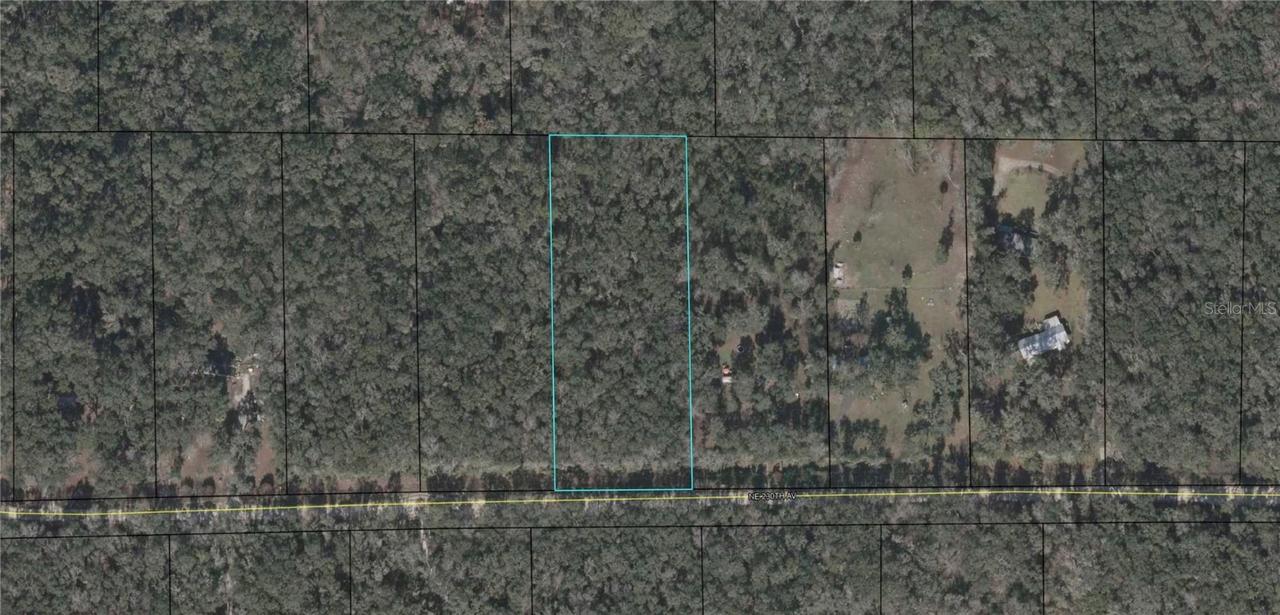 230th Ave., Old Town, FL 32680