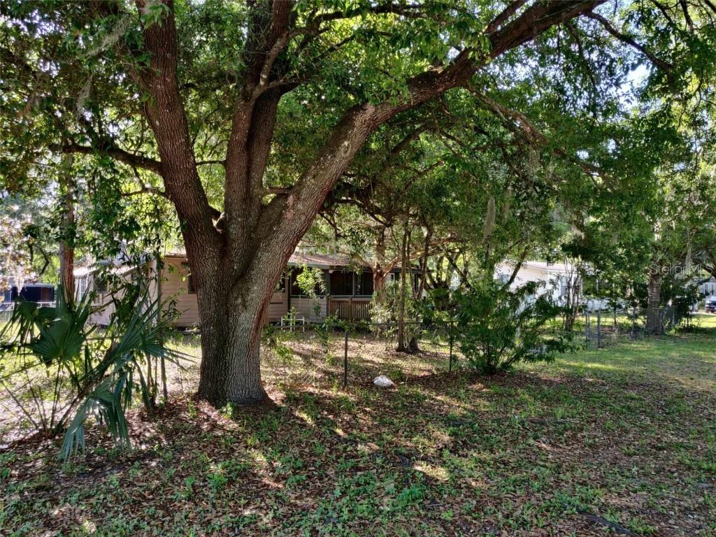 217 7th St., Orlando, FL 32833