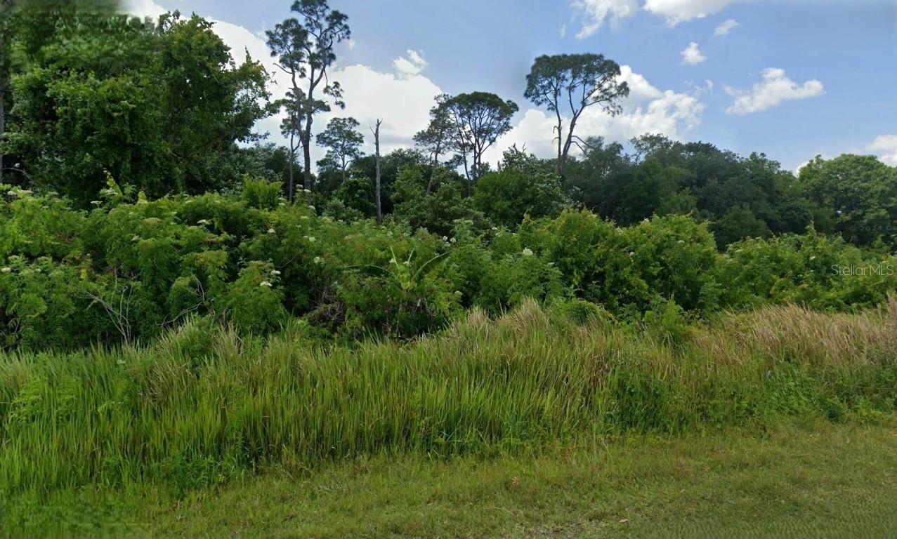1053 Lake Carrie Dr., Lake Placid, FL 33852