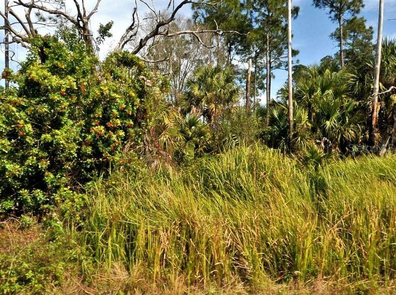 Firebird Rd., North Port, FL 34288