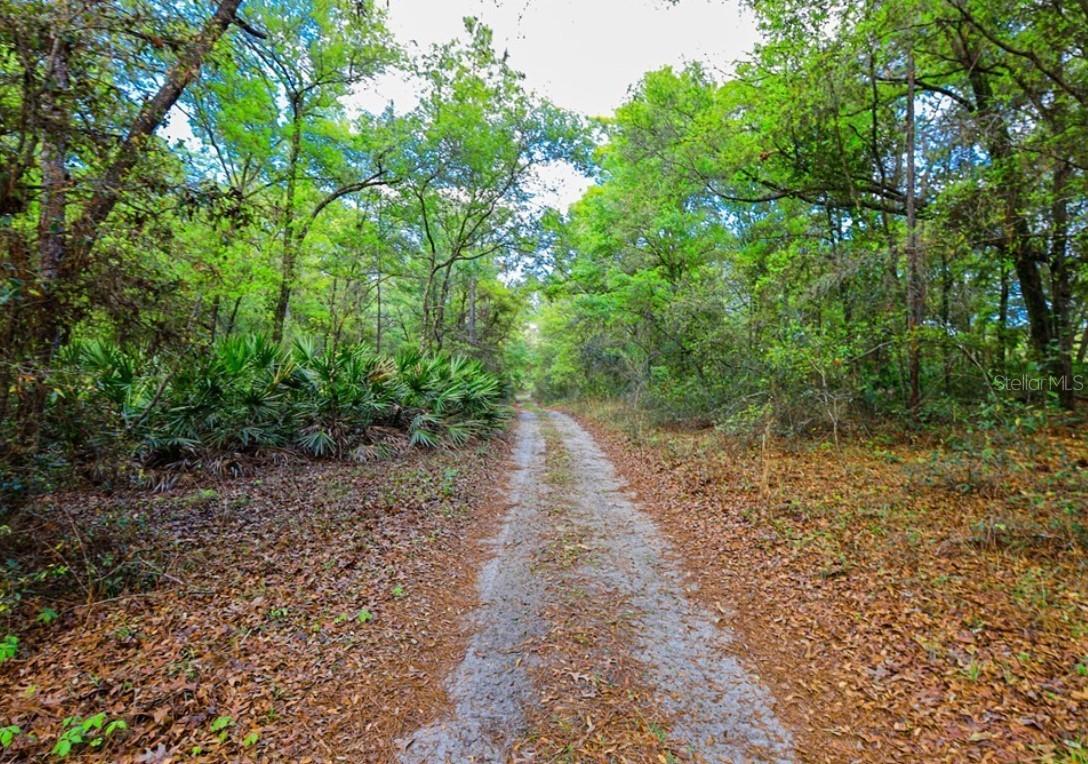 7615 W Rainbow St., Dunnellon, FL 34433