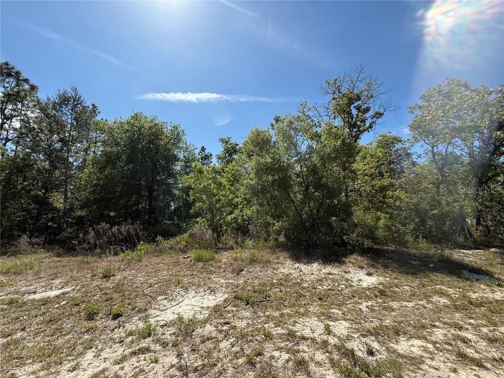 N/A SW 89th Ter., Dunnellon, FL 34432