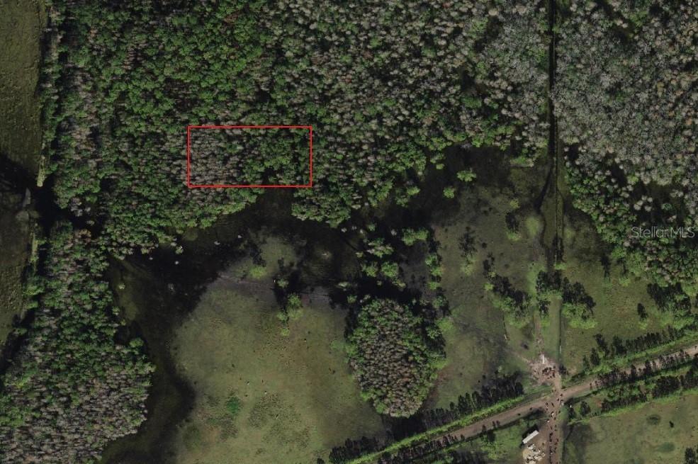 Tbd, Davenport, FL 33897