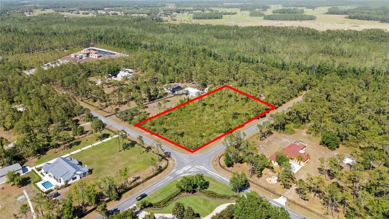 13227 Lacebark Pine Rd., Orlando, FL 32832