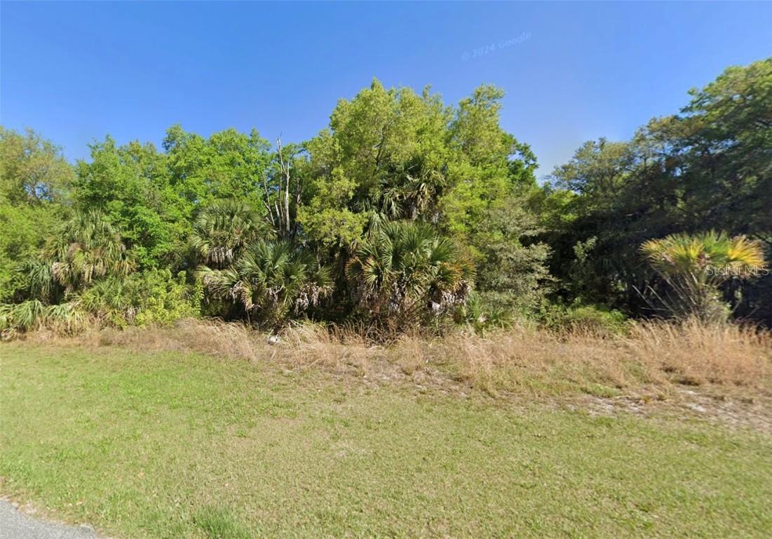 Lot 719 Windover Farms, Titusville, FL 32780