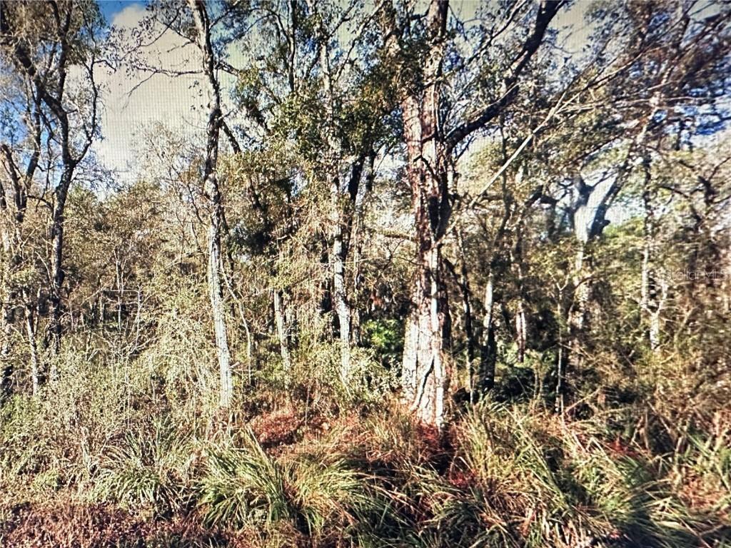Table Rock Dr., Webster, FL 33597