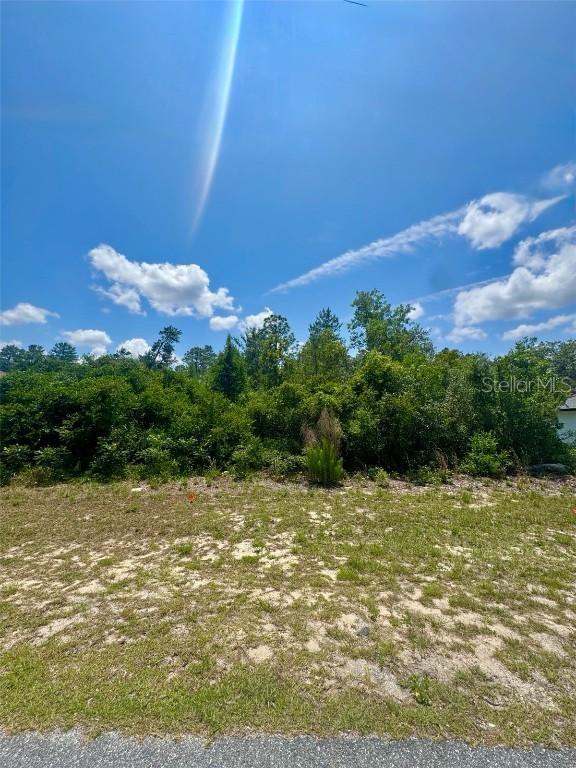 SW 131st Place Rd., Ocala, FL 34473