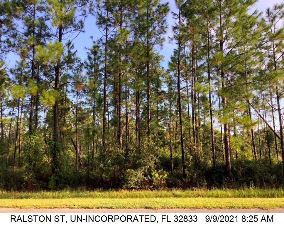 Ralston St. #591&593, Orlando, FL 32833