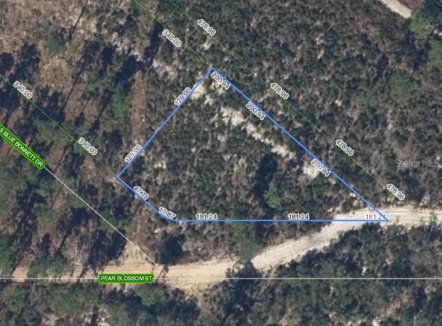 6115 Pear Blossom St., Sebring, FL 33876