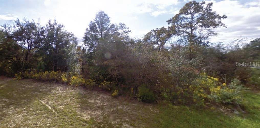 Beck Ct., Chipley, FL 32428