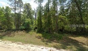 210 Hideway Ln., Georgetown, FL 32139