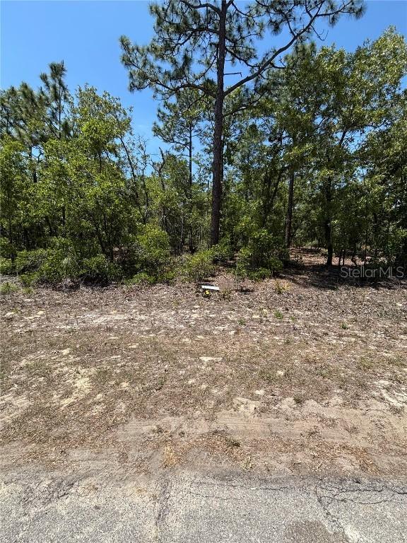 9898 N Lathyrus Ter., Dunnellon, FL 34433