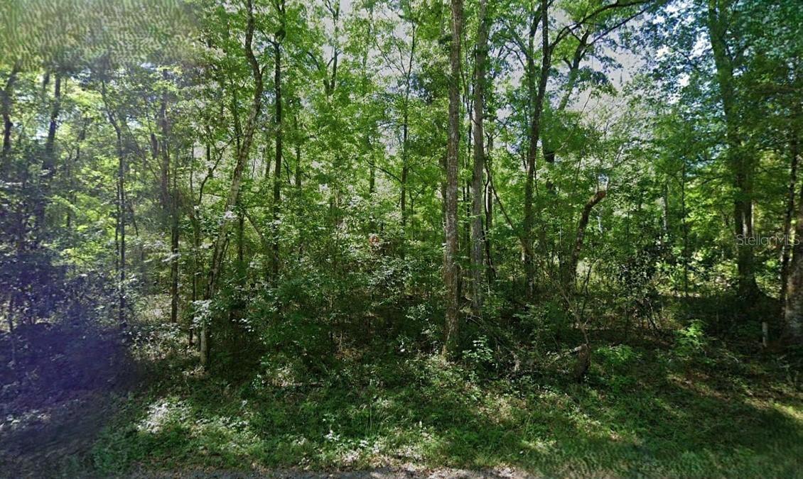 288th St., Branford, FL 32008
