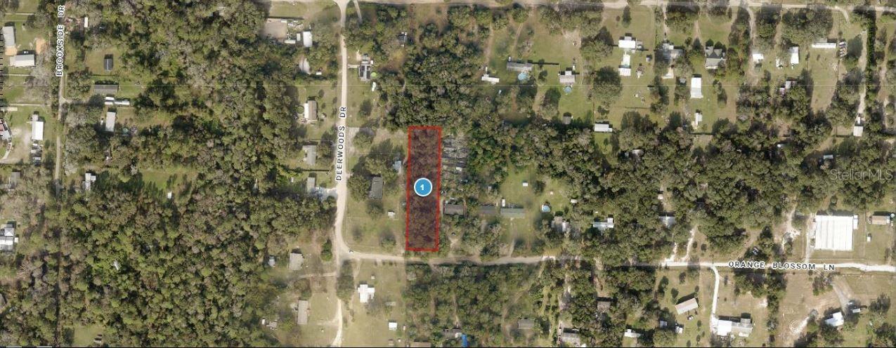 Orange Blossom Ln., Eustis, FL 32736