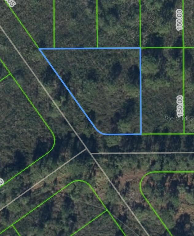 1316 Lark St., Lake Placid, FL 33852