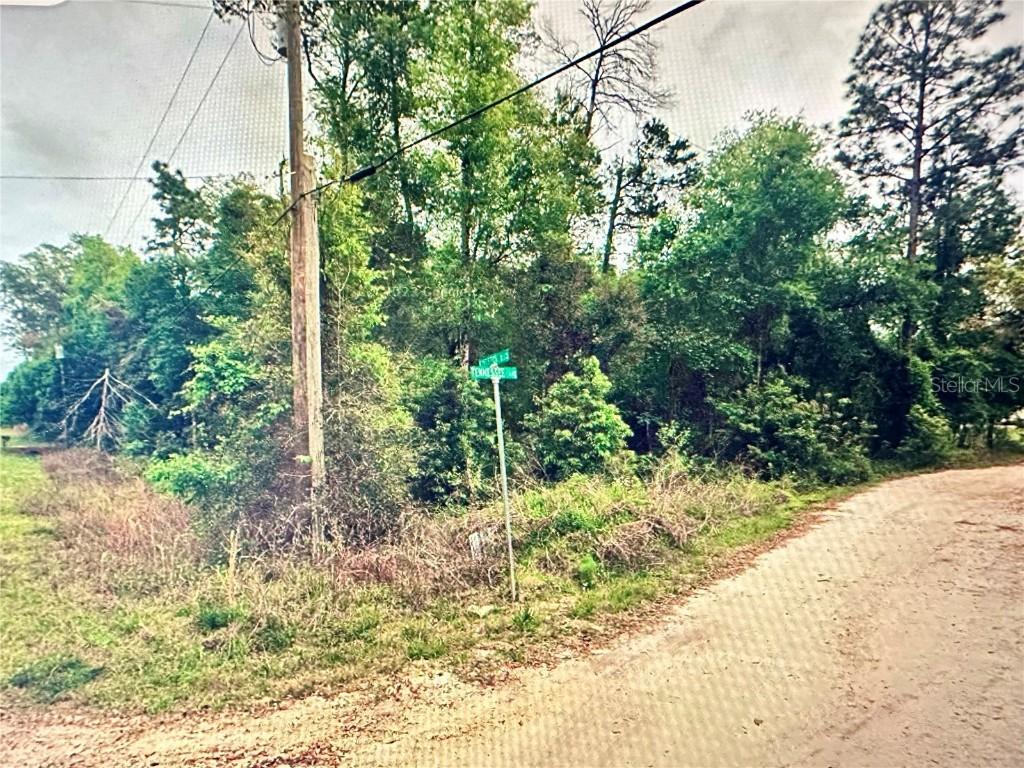 219 Kingston Blvd., Satsuma, FL 32189