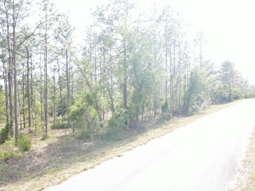 Lot 20 NW Shamrock Ave., Dunnellon, FL 34431