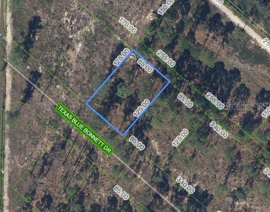 6139 Texas Blue Bonnett Dr., Sebring, FL 33876