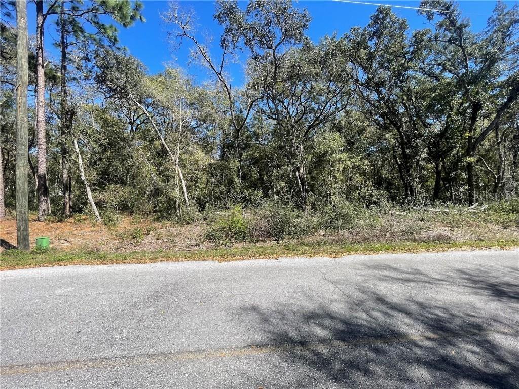 5885 SE 170 Ct., Ocklawaha, FL 32179